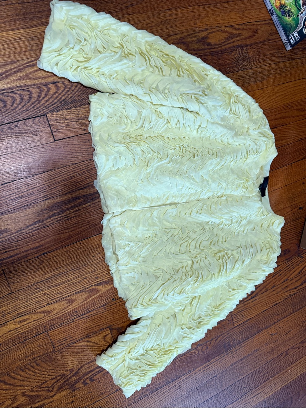 Zara Pale Yellow Ruffled Jacket